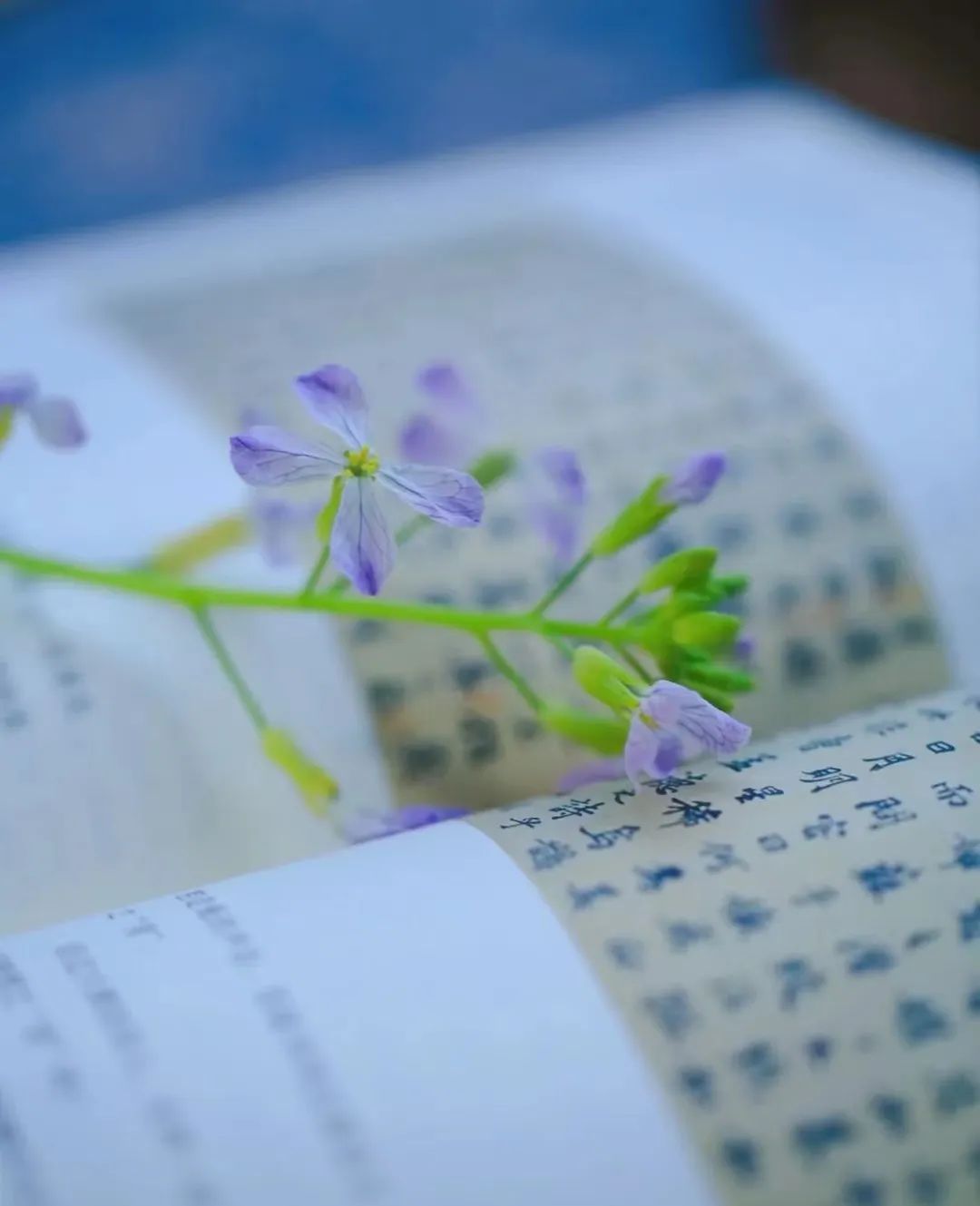 微信图片_20220424161631